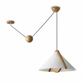 Подвесной светильник Freya Umbra FR5554CL-01T в Заречном - zarechnyy.ok-mebel.com | фото 2