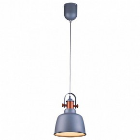 Подвесной светильник Lucia Tucci Industrial INDUSTRIAL 1820.1 SAND SILVER в Заречном - zarechnyy.ok-mebel.com | фото 2