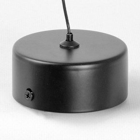 Подвесной светильник Lussole Blount LSP-7356 в Заречном - zarechnyy.ok-mebel.com | фото 6