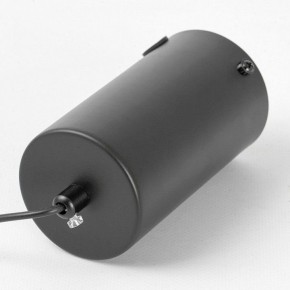 Подвесной светильник Lussole Calhoun LSP-7139 в Заречном - zarechnyy.ok-mebel.com | фото 5