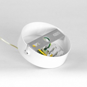 Подвесной светильник Lussole Gregg LSP-8964 в Заречном - zarechnyy.ok-mebel.com | фото 7