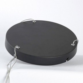 Подвесной светильник Lussole HARDIN LSP-7427 в Заречном - zarechnyy.ok-mebel.com | фото 4