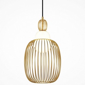 Подвесной светильник Maytoni Levitation MOD376PL-01G1 в Заречном - zarechnyy.ok-mebel.com | фото