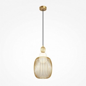 Подвесной светильник Maytoni Levitation MOD376PL-01G1 в Заречном - zarechnyy.ok-mebel.com | фото 2