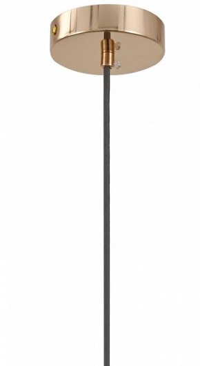 Подвесной светильник Moderli Charm V11176-1P в Заречном - zarechnyy.ok-mebel.com | фото 8