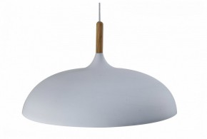 Подвесной светильник Moderli Hygo V11447-1P в Заречном - zarechnyy.ok-mebel.com | фото