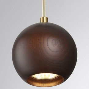 Подвесной светильник Odeon Light Caucho 7062/1 в Заречном - zarechnyy.ok-mebel.com | фото