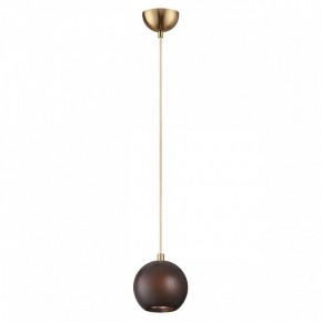 Подвесной светильник Odeon Light Caucho 7062/1 в Заречном - zarechnyy.ok-mebel.com | фото 4