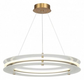 Подвесной светильник ST-Luce FAGY SL6245.203.01 в Заречном - zarechnyy.ok-mebel.com | фото 2