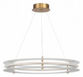Подвесной светильник ST-Luce FAGY SL6245.203.01 в Заречном - zarechnyy.ok-mebel.com | фото 3