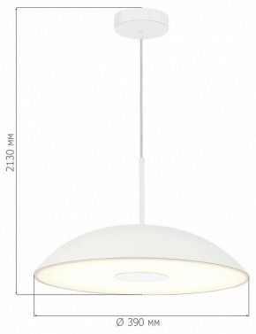 Подвесной светильник ST-Luce Lido SL6128.503.01 в Заречном - zarechnyy.ok-mebel.com | фото 4