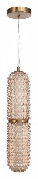 Подвесной светильник ST-Luce SAGUARO SL6144.303.01 в Заречном - zarechnyy.ok-mebel.com | фото 3