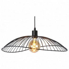 Подвесной светильник TopLight Agnes TL1196H-01BK в Заречном - zarechnyy.ok-mebel.com | фото