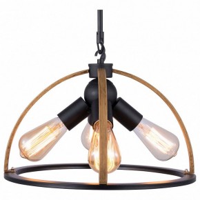 Подвесной светильник TopLight Jasmin TL1179H-04BK в Заречном - zarechnyy.ok-mebel.com | фото