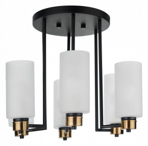 Потолочная люстра 33 идеи CHN900 CHN900.06.BL17.ASB-S16WH в Заречном - zarechnyy.ok-mebel.com | фото 3