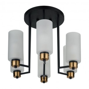 Потолочная люстра 33 идеи CHN900 CHN900.06.BL17.ASB-S16WH в Заречном - zarechnyy.ok-mebel.com | фото 4
