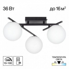 Потолочная люстра Citilux Dorsy CL223132 в Заречном - zarechnyy.ok-mebel.com | фото 10