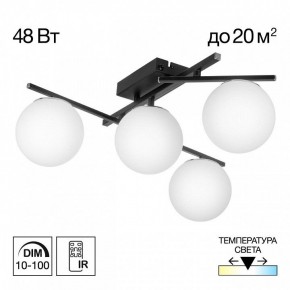 Потолочная люстра Citilux Dorsy CL223142 в Заречном - zarechnyy.ok-mebel.com | фото 9