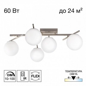 Потолочная люстра Citilux Dorsy CL223151 в Заречном - zarechnyy.ok-mebel.com | фото 2
