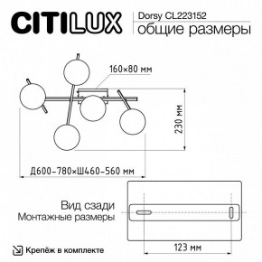 Потолочная люстра Citilux Dorsy CL223152 в Заречном - zarechnyy.ok-mebel.com | фото 10