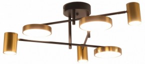Потолочная люстра Kink Light Рапис 07645-6D,19(20) в Заречном - zarechnyy.ok-mebel.com | фото