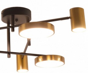 Потолочная люстра Kink Light Рапис 07645-6D,19(20) в Заречном - zarechnyy.ok-mebel.com | фото 2