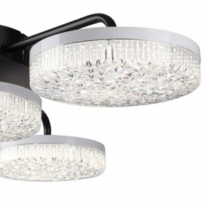 Потолочная люстра Lumion Didana 8236/4CL в Заречном - zarechnyy.ok-mebel.com | фото 7