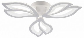 Потолочная люстра Natali Kovaltseva FORTUNA LED LAMPS 81107/2C в Заречном - zarechnyy.ok-mebel.com | фото