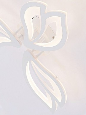 Потолочная люстра Natali Kovaltseva FORTUNA LED LAMPS 81107/2C в Заречном - zarechnyy.ok-mebel.com | фото 11