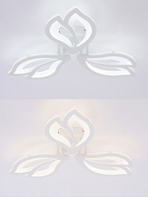 Потолочная люстра Natali Kovaltseva FORTUNA LED LAMPS 81107/2C в Заречном - zarechnyy.ok-mebel.com | фото 4