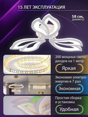 Потолочная люстра Natali Kovaltseva FORTUNA LED LAMPS 81107/2C в Заречном - zarechnyy.ok-mebel.com | фото 6