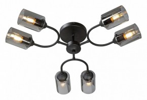 Потолочная люстра Vitaluce V2823 V2823-1/6PL в Заречном - zarechnyy.ok-mebel.com | фото 2