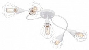 Потолочная люстра Vitaluce V3037 V3037-0/5PL в Заречном - zarechnyy.ok-mebel.com | фото
