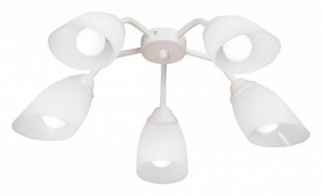 Потолочная люстра Vitaluce V31950 V31950/5PL в Заречном - zarechnyy.ok-mebel.com | фото