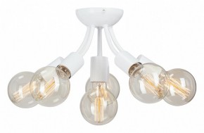 Потолочная люстра Vitaluce V3927 V3927-0/6PL в Заречном - zarechnyy.ok-mebel.com | фото