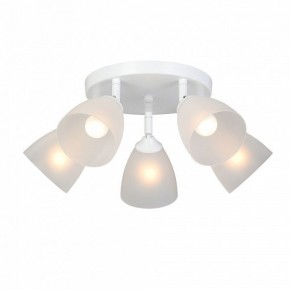Потолочная люстра Vitaluce V4355 V4355-0/5PL в Заречном - zarechnyy.ok-mebel.com | фото 2