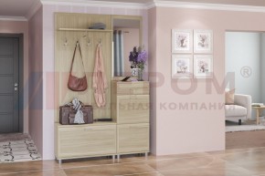 Прихожая Мелисса композиция 8 (Ясень Асахи) в Заречном - zarechnyy.ok-mebel.com | фото