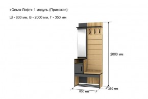 Прихожая "Ольга-Лофт 1" в Заречном - zarechnyy.ok-mebel.com | фото 4