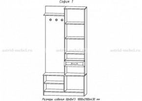 Прихожая София 1 в Заречном - zarechnyy.ok-mebel.com | фото 2