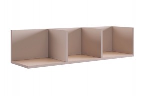 РИЧ Полка навесная 2 (кашемир) в Заречном - zarechnyy.ok-mebel.com | фото