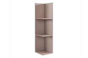 РИЧ Полка навесная 2 (кашемир) в Заречном - zarechnyy.ok-mebel.com | фото 4