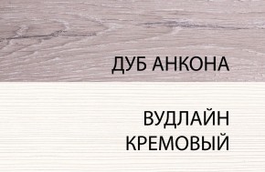 Шкаф 1DG, OLIVIA, цвет вудлайн крем/дуб анкона в Заречном - zarechnyy.ok-mebel.com | фото 3