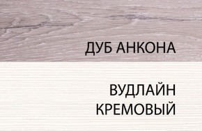 Шкаф 1DZ, OLIVIA, цвет вудлайн крем/дуб анкона в Заречном - zarechnyy.ok-mebel.com | фото 3