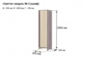 ГРЕТТА 3 Шкаф 2-х створчатый в Заречном - zarechnyy.ok-mebel.com | фото 4