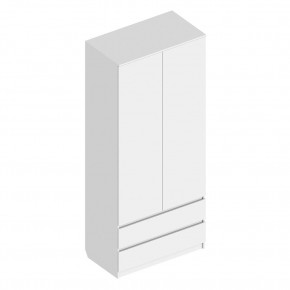 Шкаф 2-ств. с 2 ящиками "Бьянко" в Заречном - zarechnyy.ok-mebel.com | фото