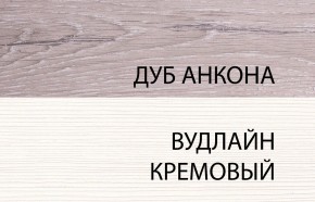 Шкаф 2DG, OLIVIA, цвет вудлайн крем/дуб анкона в Заречном - zarechnyy.ok-mebel.com | фото 3