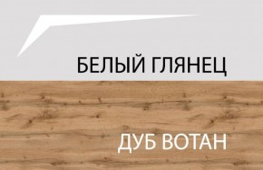 Шкаф 2DG с полками, TAURUS, цвет белый/дуб вотан в Заречном - zarechnyy.ok-mebel.com | фото 4