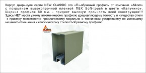 Шкаф-купе 1500 серии NEW CLASSIC K3+K3+B2+PL1 (2 ящика+1 штанга) профиль «Капучино» в Заречном - zarechnyy.ok-mebel.com | фото 5