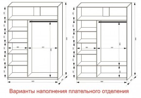 Шкаф-купе 1600 серии SOFT D1+D3+B2+PL1 (2 ящика+1штанга) профиль «Графит» в Заречном - zarechnyy.ok-mebel.com | фото 6