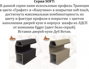 Шкаф-купе 1800 серии SOFT D1+D3+B2+PL1 (2 ящика+1штанга) профиль «Графит» в Заречном - zarechnyy.ok-mebel.com | фото 11